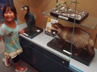 クリックしてね