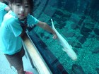 クリックしてね