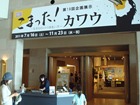 クリックしてね