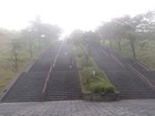 NbNĂ