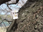 クリックしてね