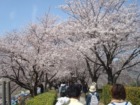 クリックしてね